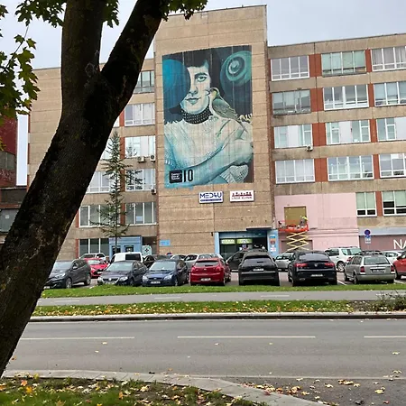 Apartament апартаменты-студия Olga Narwa