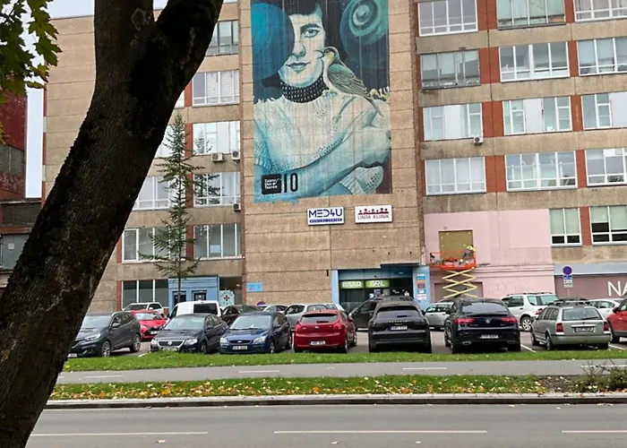 Lägenhet апартаменты-студия Olga Narva